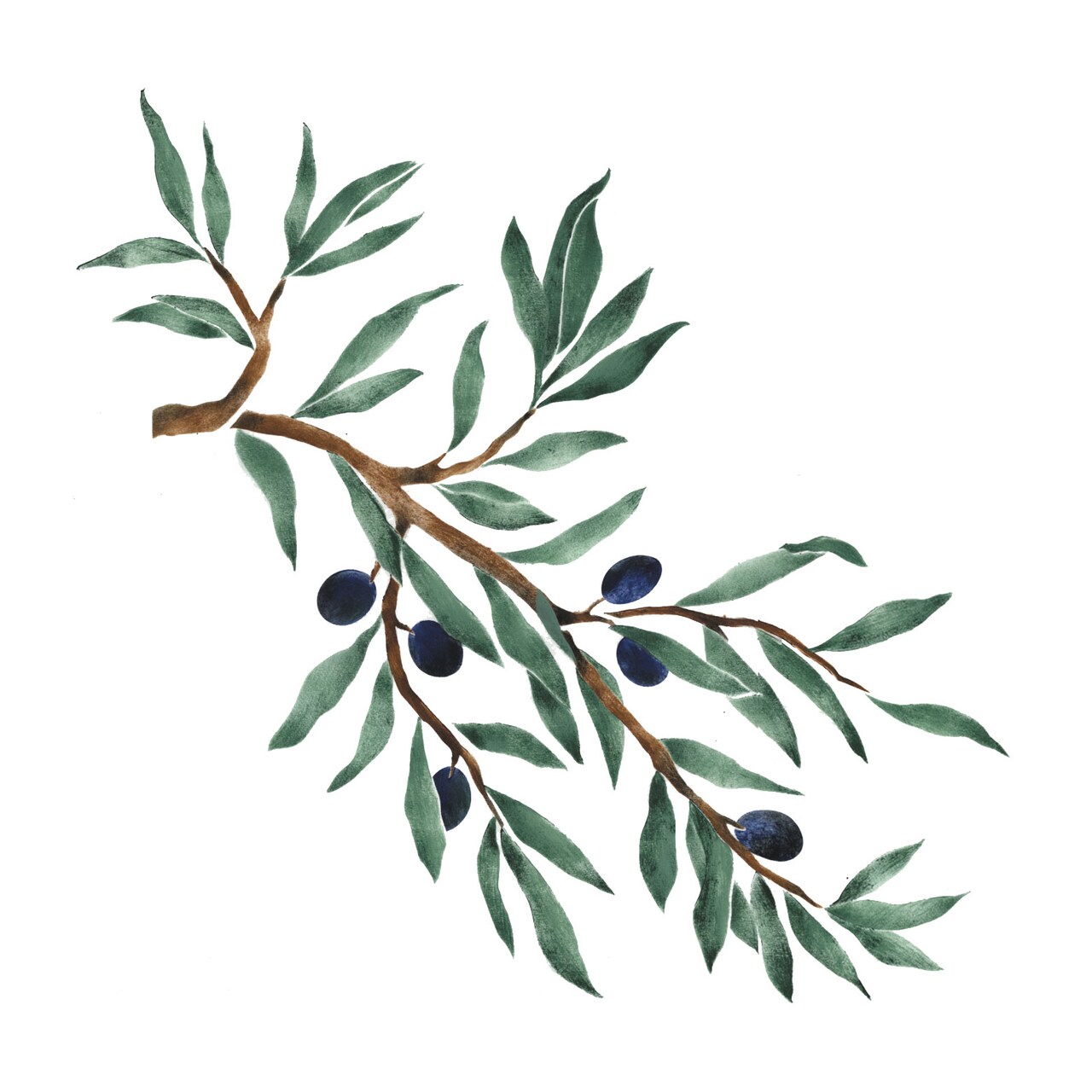 Olive Tree Branch Wall Stencil | 3031 by Designer Stencils | Reusable Art Craft Stencils for Painting |